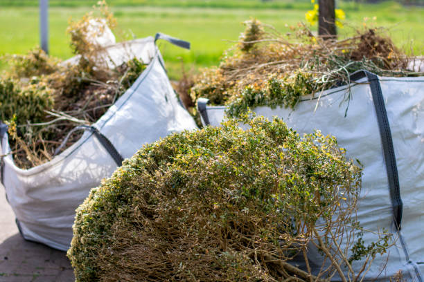 Best Yard Waste Removal  in Glenwood, IA